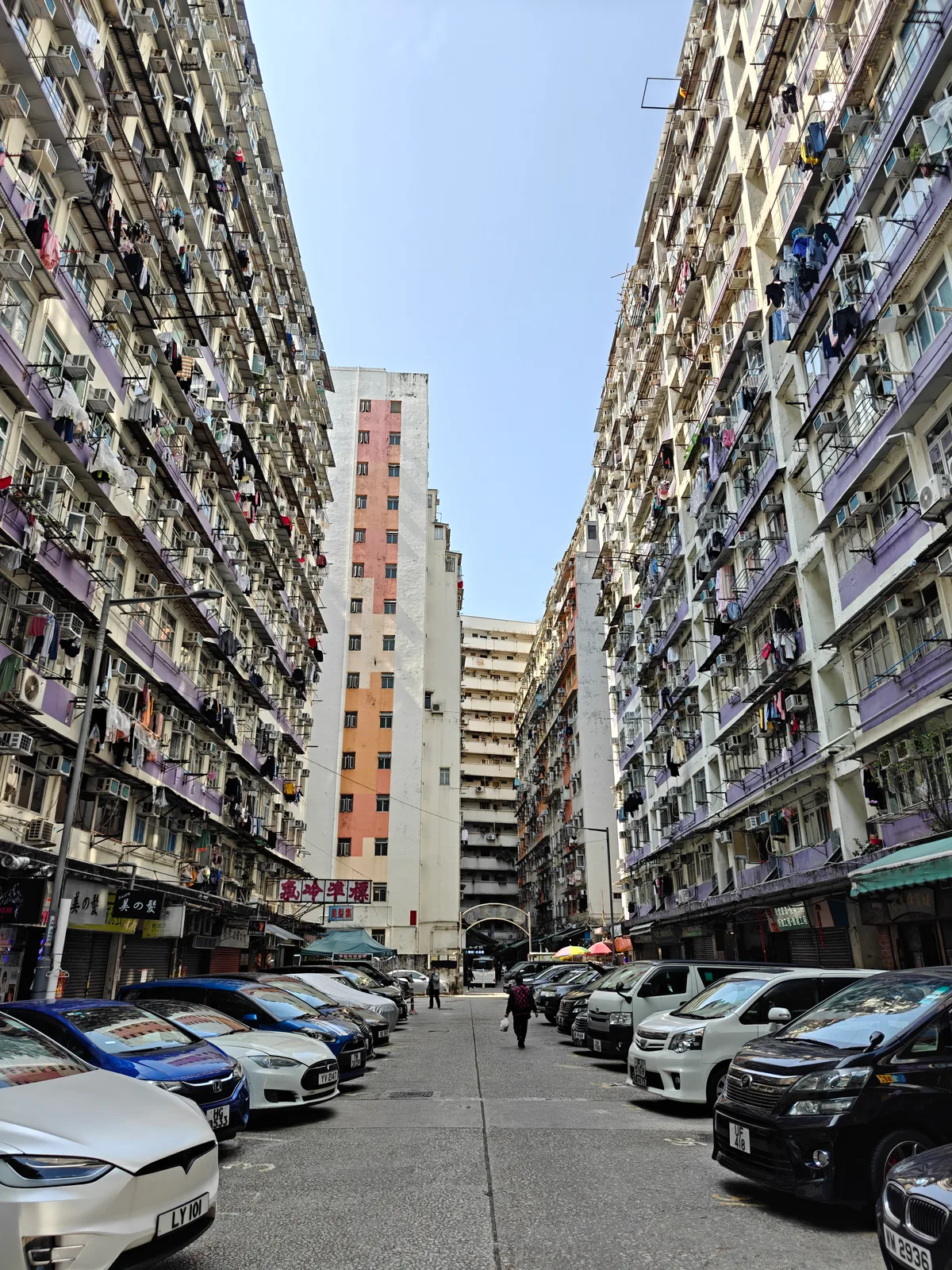 IMG20250309103201.jpg