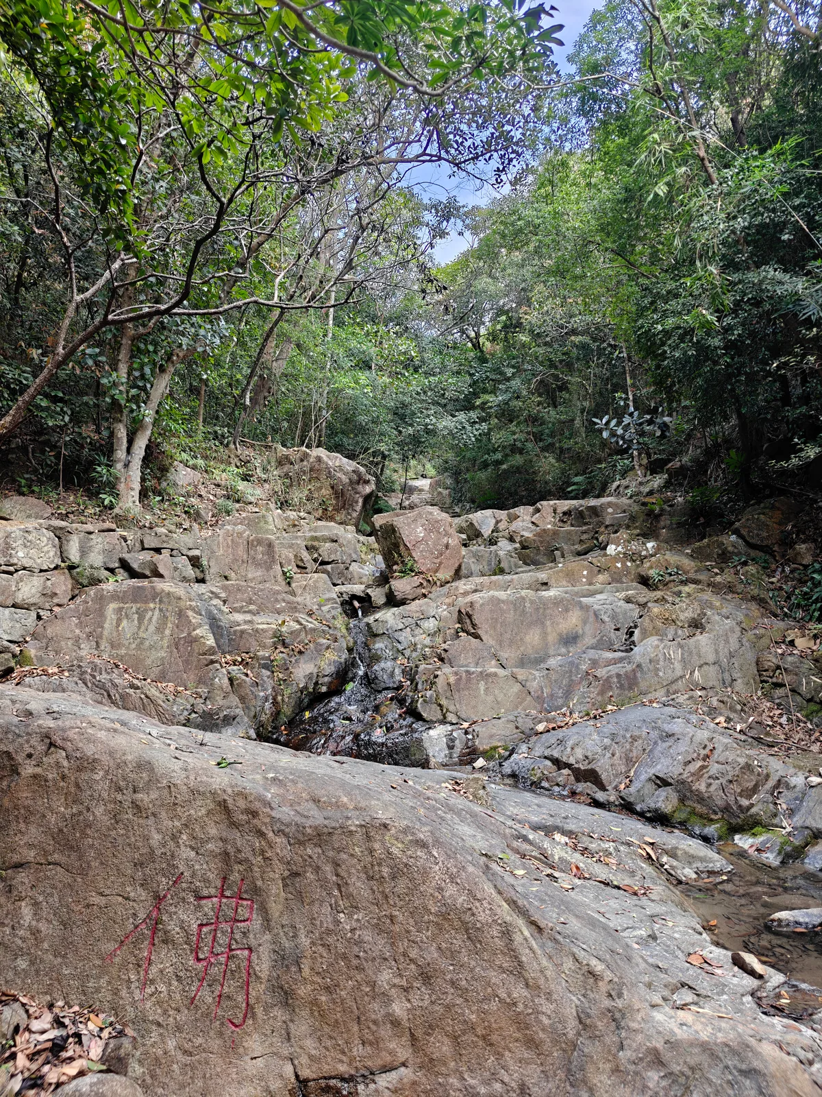 IMG20250309151520.jpg